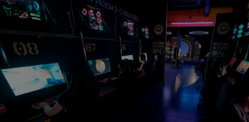 231